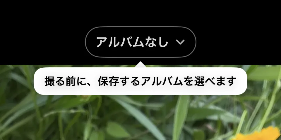 The top of the camera screen on first launch (Japanese interface). The button reads “No Album,” with a tip below: choose an album before you shoot.