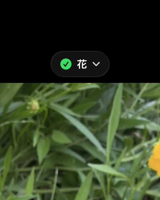 The top of the camera screen right after a shot. The button shows a check mark next to the album name.